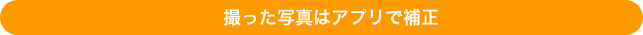 コラム4_r11_c2.png