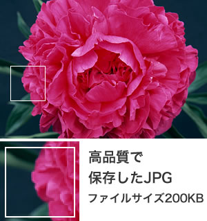 jpgサンプル