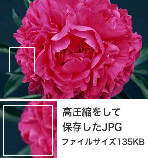 jpgサンプル